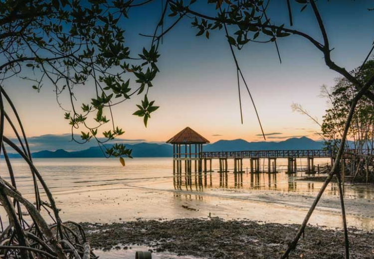 พักผ่อนสุดชิล “พูลวิลล่า ตราด” พักสบาย วิวสวย ไม่ต้องข้ามเกาะก็ฟินได้